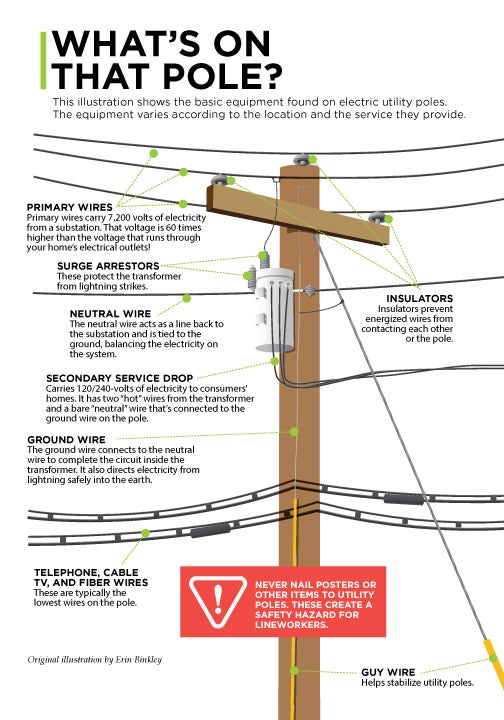 anatomy of a pole