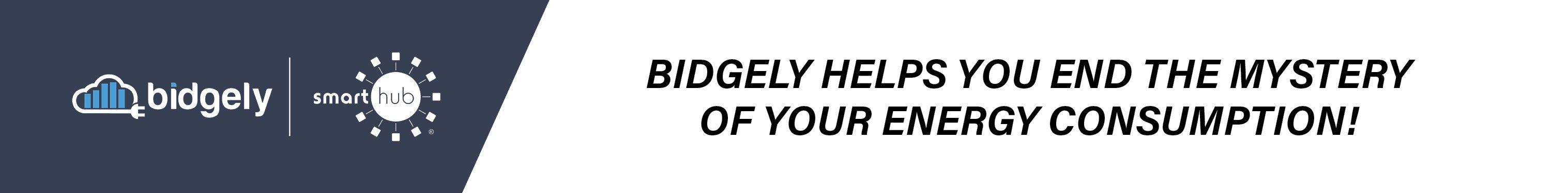 Bidgley Banner